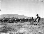 Tom L. Burnett Triangle Ranch