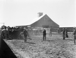 Tom L. Burnett Triangle Ranch