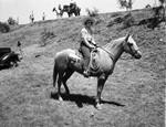 Stamford Cowboy Reunion and Rodeo by Frank Reeves