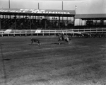 10th annual Texas Cowboy Reunion in Stamford