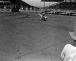 10th annual Texas Cowboy Reunion in Stamford