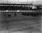 10th annual Texas Cowboy Reunion in Stamford