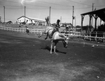 10th annual Texas Cowboy Reunion in Stamford