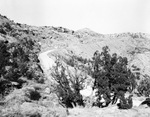 Palo Duro Canyon State Park by Frank Reeves