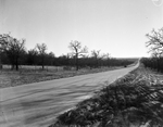 W. T. Haley Jr. murder case