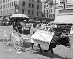 Shriners parade in downtown Fort Worth