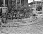 Backyard of Mr. and Mrs. J.A. Ross