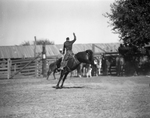Canadian, TX Rodeo by Frank Reeves