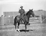 Canadian, TX Rodeo by Frank Reeves