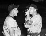 Dallas Steers baseball players