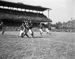 Washington Redskins vs. New York Giants Football Game by D. B. Greene