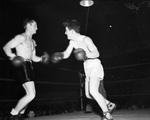 Golden Gloves state fights