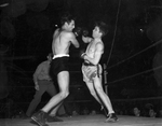 Golden Gloves state fights