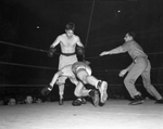 Golden Gloves state fights