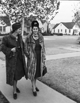 Mrs. Harry Colwell and Mrs. Herbert Roes