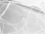 Aerial view of cotton fields near Slaton, Texas by Paul McAllister