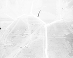 Aerial view of cotton gin, cotton fields, and cotton pickers at Loop, Texas by Paul McAllister