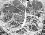 Aerial view of Brownwood, Texas by Paul McAllister