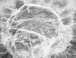 Aerial view of Brownwood, Texas by Paul McAllister