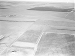 Terracing south of Vernon, Texas by Paul McAllister