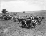 Burleson and Johns Ranch, 1935