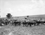 Burleson and Johns Ranch, 1935