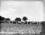 Burleson and Johns Ranch, 1935