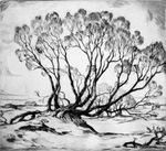 Etching by C. A. Hotvedt, 1935