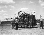Cowboys reunion at Stamford, Texas, 1936