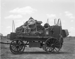 Cowboys reunion at Stamford, Texas, 1936