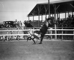 Cowboys reunion at Stamford, Texas, 1936