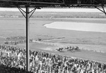 Arlington Downs Texas Derby horse racing action