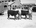 South Plains Junior Livestock Show, Lubbock, Texas, 1938 by Frank Reeves Sr.