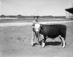 South Plains Junior Livestock Show, Lubbock, Texas, 1938 by Frank Reeves Sr.