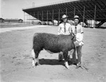 South Plains Junior Livestock Show, Lubbock, Texas, 1938 by Frank Reeves Sr.