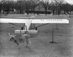 National Air Transport plane upon its arrival at Shady Oak Farm