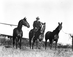 W. T. Waggoner on "Cowpuncher"