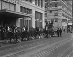 Eight-horse team of Clydesdales, advertising Budweiser beer