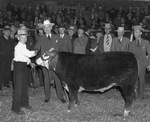 Southwestern Exposition and Fat Stock Show
