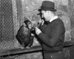 Patsy, Forest Park Zoo chimp, poses with zookeeper Hamilton Hittson