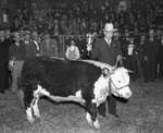 Southwestern Exposition and Fat Stock Show