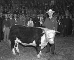 Southwestern Exposition and Fat Stock Show