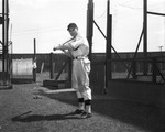 Fort Worth Cats baseball player Herman Drefs