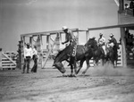 Midland Texas rodeo