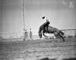 Midland Texas rodeo