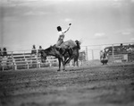 Midland Texas rodeo