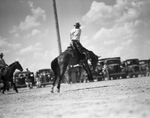 Pecos (Texas) rodeo by Frank Reeves Sr.