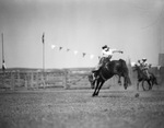 Pecos (Texas) rodeo by Frank Reeves Sr.
