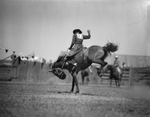 Pecos (Texas) rodeo by Frank Reeves Sr.