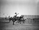 Pecos (Texas) rodeo by Frank Reeves Sr.